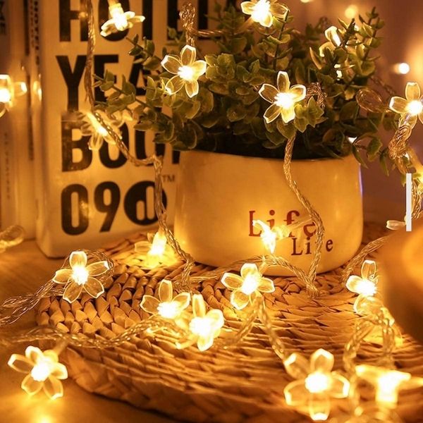 DAISYGLOW