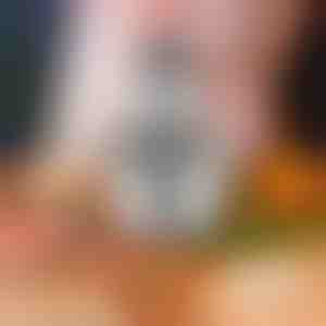 Multifunctionele keukenblender | MULTIMINCER