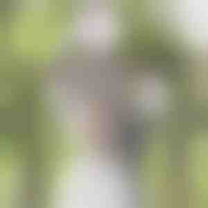 Simulatie blauwe regen wijnstok | WISBLOOM