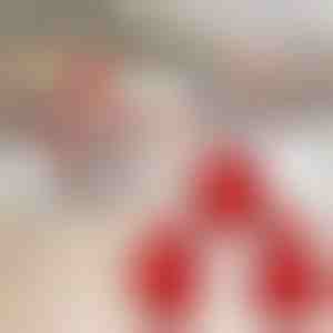 Kerst mini taartvorm (3 st) | JOYPIE