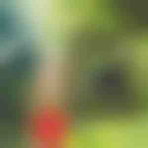 Draagbare douche | SHOWDY