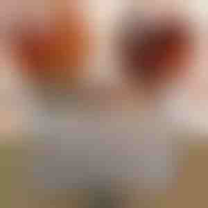 Reparatieset voor houten oppervlakken (8 kleuren) | WOODPENS