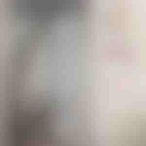 Magnetisch muskietennet | INSECTPROTECT