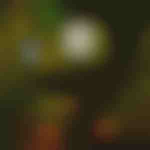 Zonnepadverlichting (6st) | LUMITRAD