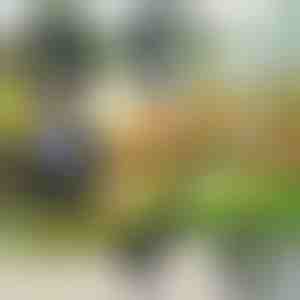 Tuingereedschap 4 in 1 | VERSAX