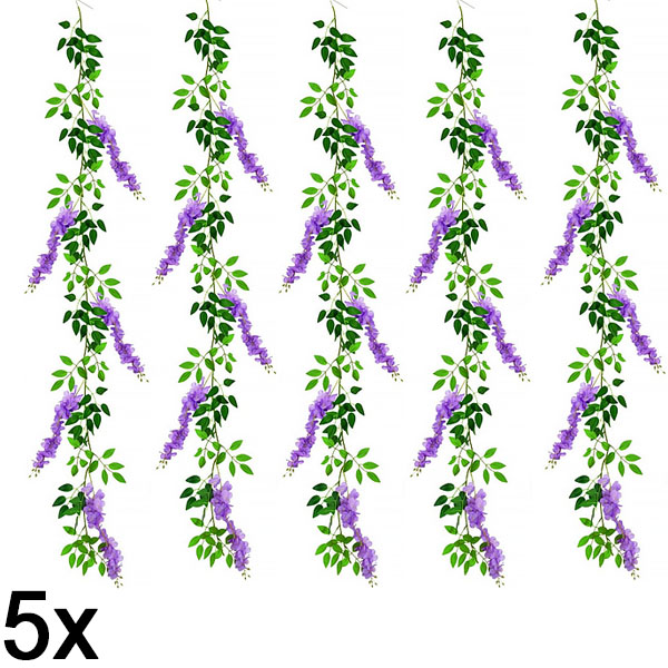5x Simulatie blauwe regen wijnstok | WISBLOOM