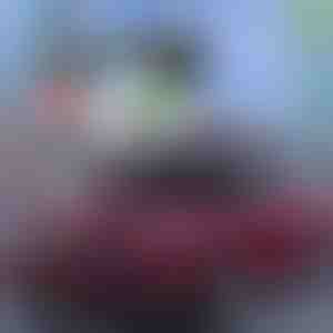 Beste zomerbescherming voor auto's! | CARCOVER