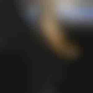 Gewatteerde autostoelhoes voor alle auto's | CUSHYRIDE