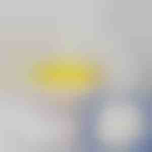 (5 Stuks) Zelfklevend Baksteenbehang met 3D Patroon | BRICKSBY