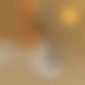 Schoenhulp zonder buigen | SHOEVA