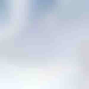 Magnetische voorruit sneeuwhoes | FROSTCOVER