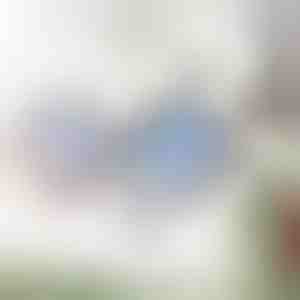 Zonnebrillen met verstelbare helderheid | TINGLAS