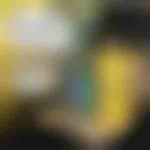 Kinder Autodienblad | MUNCHI