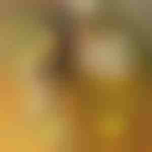 LED acryl lichtbord met 7 markers | LUMOBOARD