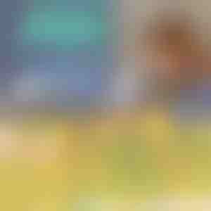 Puzzelbaan| ZOOMSTER