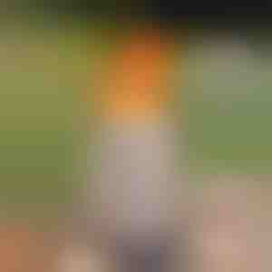 Draagbare rookloze tafelhaard | FIRENOVA