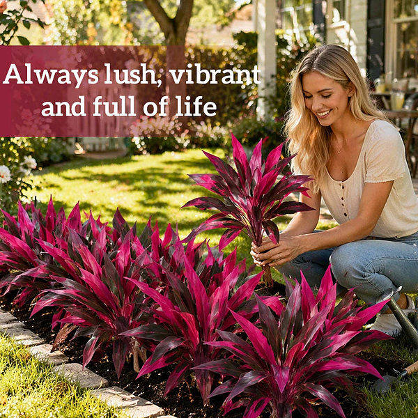 ARTIPLANT-3831127648920-EN-4__070526