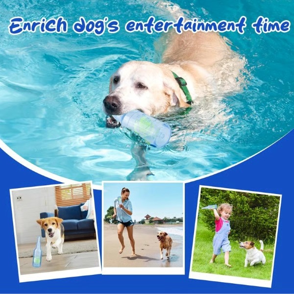PUPTENN-3831127651013-EN-5__250526